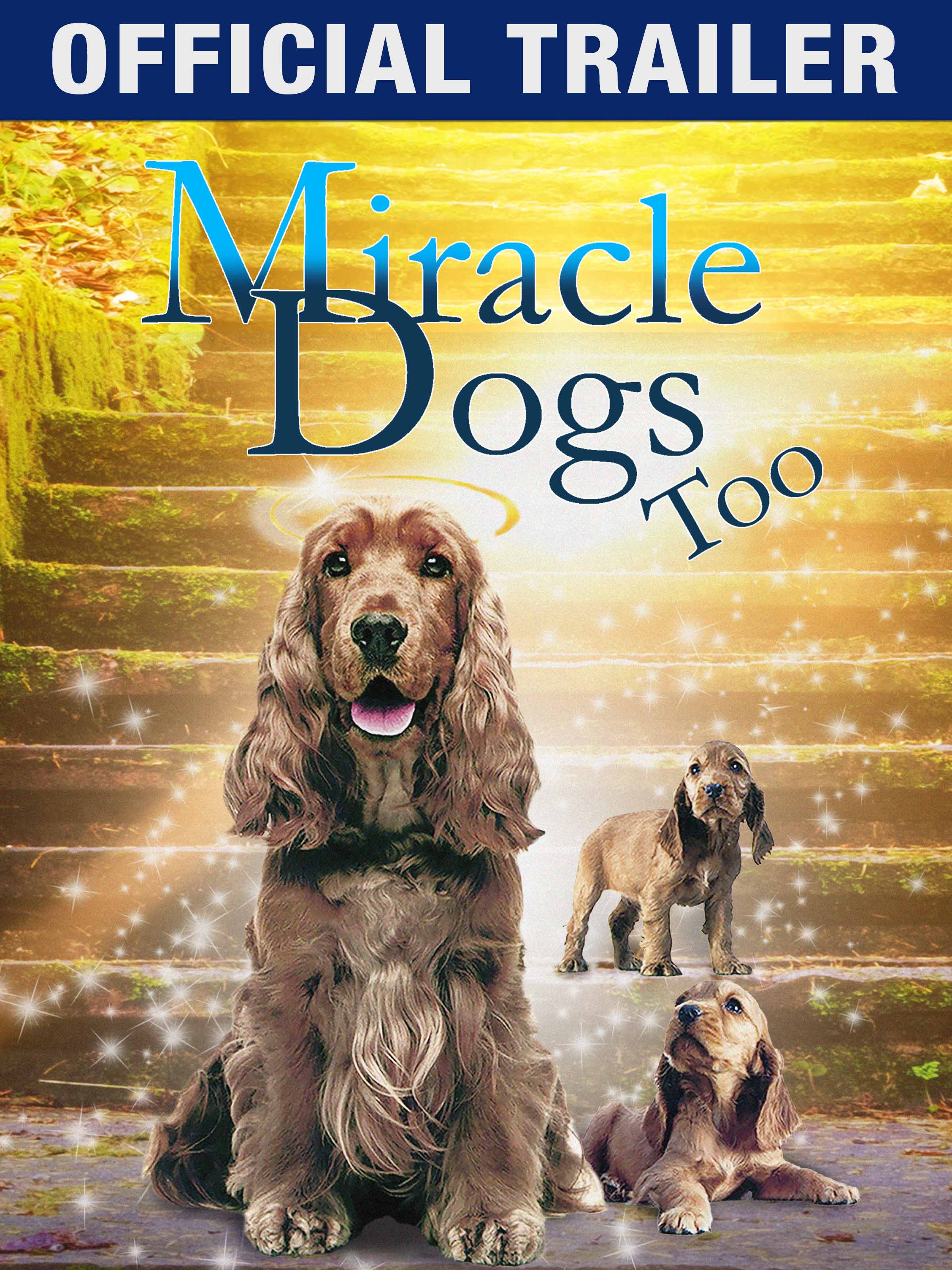 輸入品・未使用】Miracle Dogs Too-