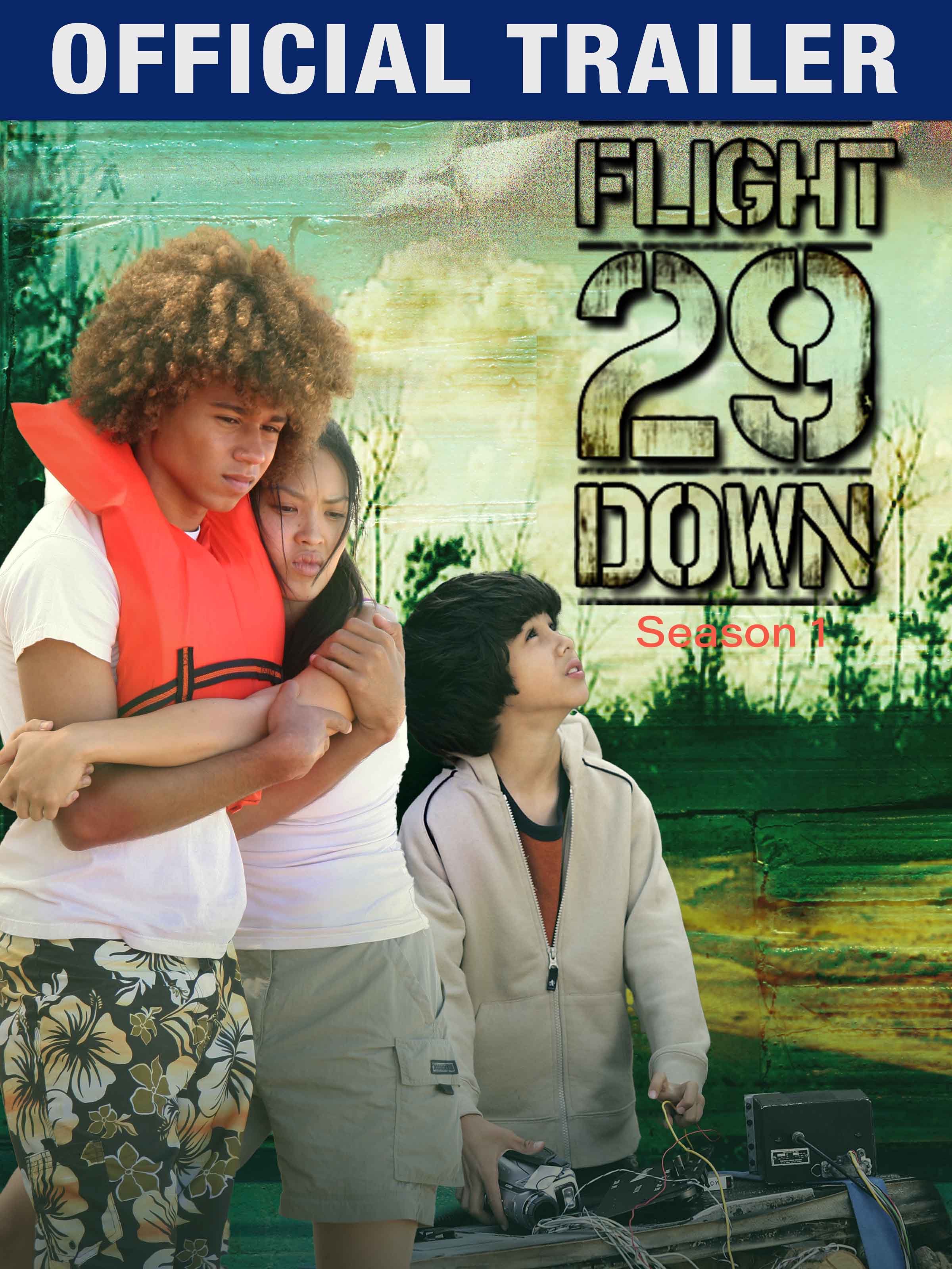 flight 29 down