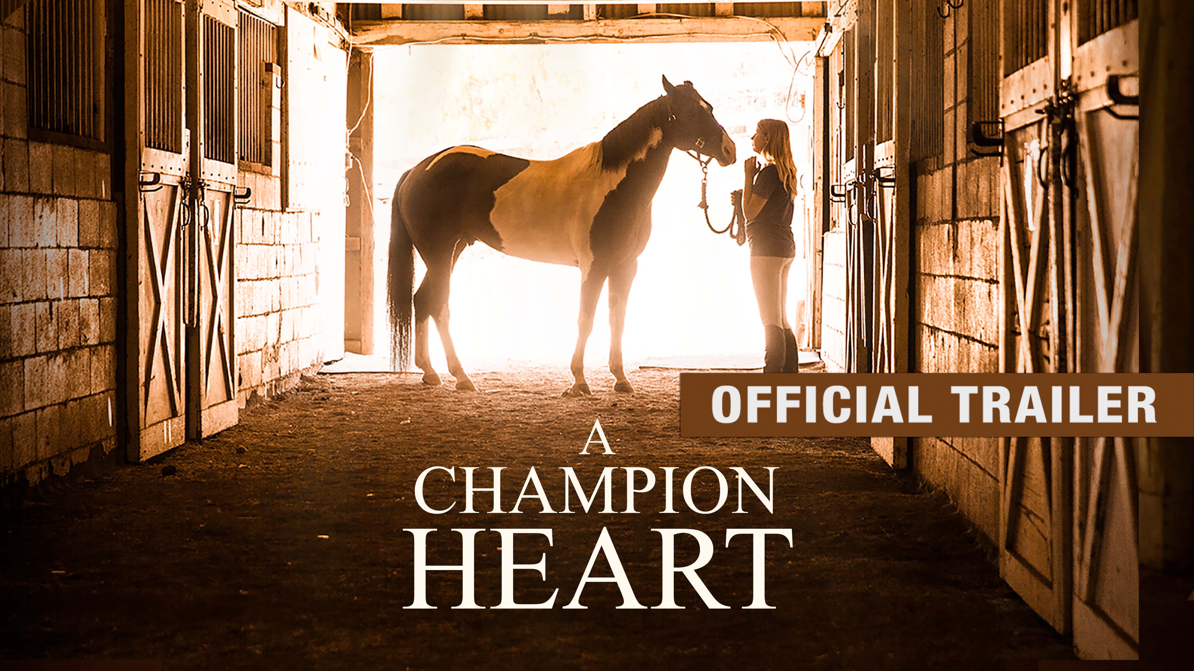 Teaser trailer and poster for movie “Champion”