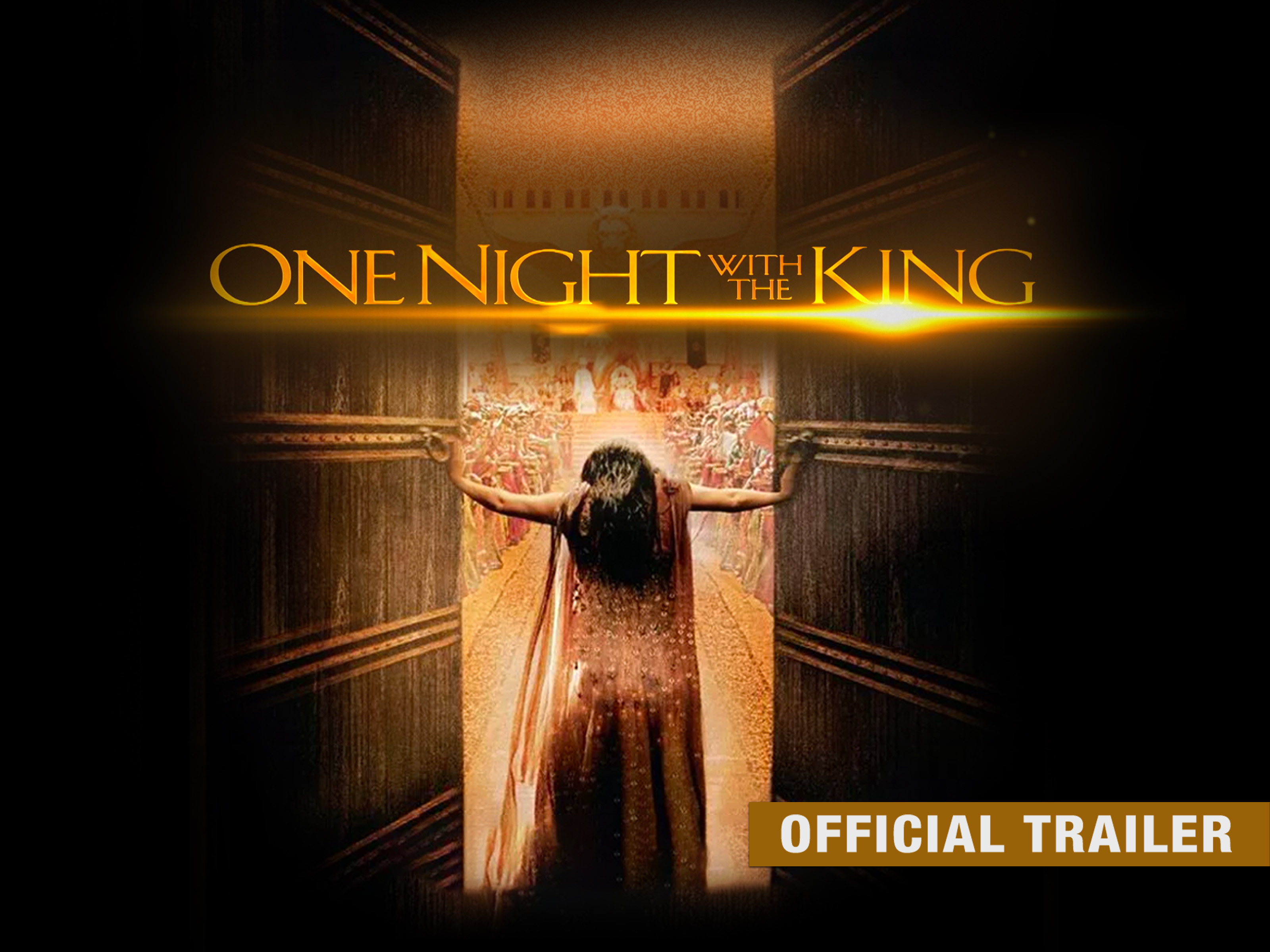 One night with the king poster