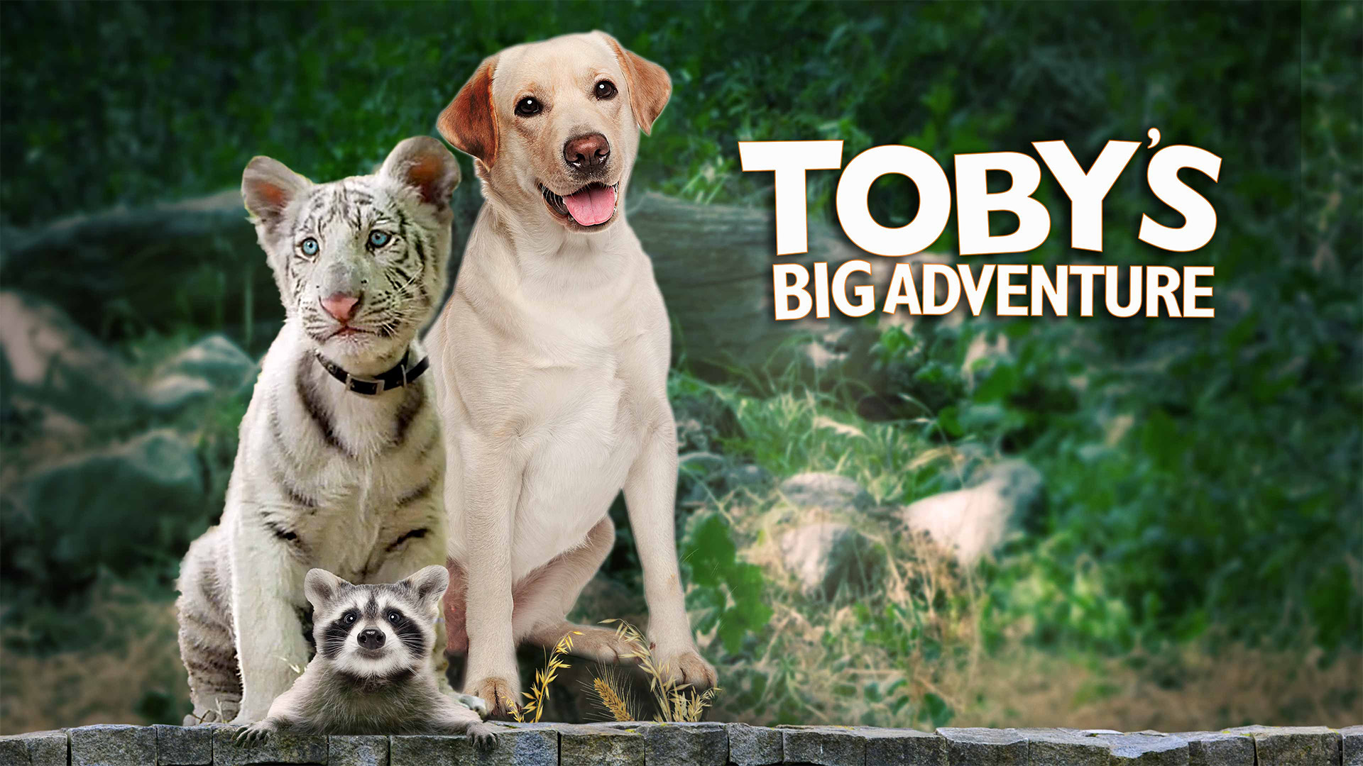 Toby's Big Adventure (2020) - IMDb