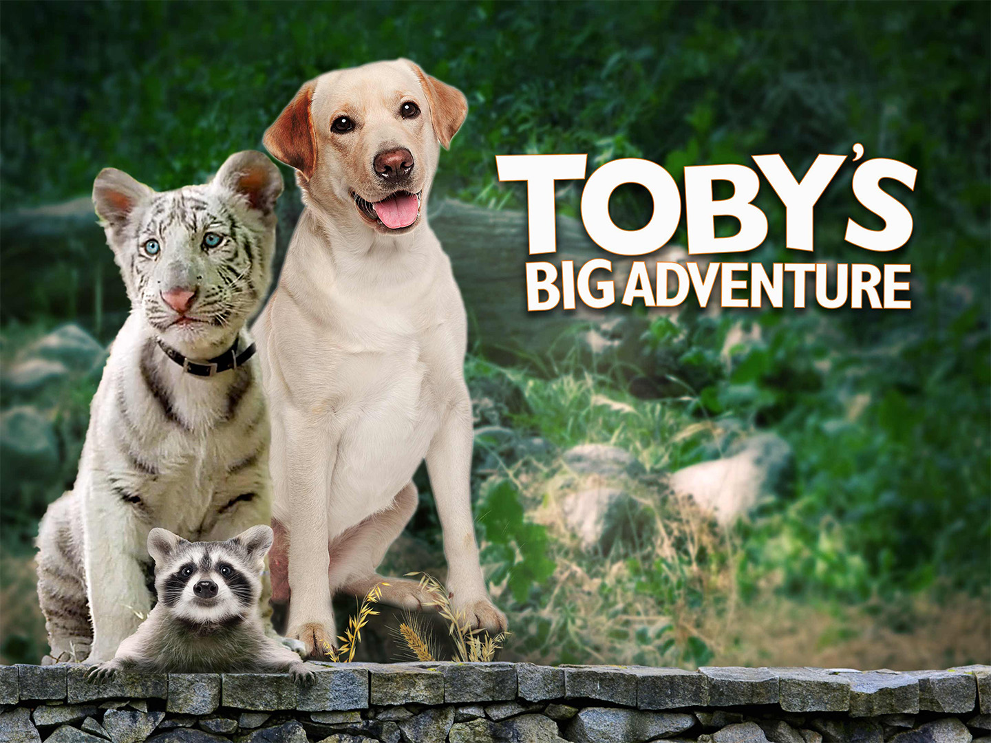 Toby's Big Adventure (2020) - IMDb