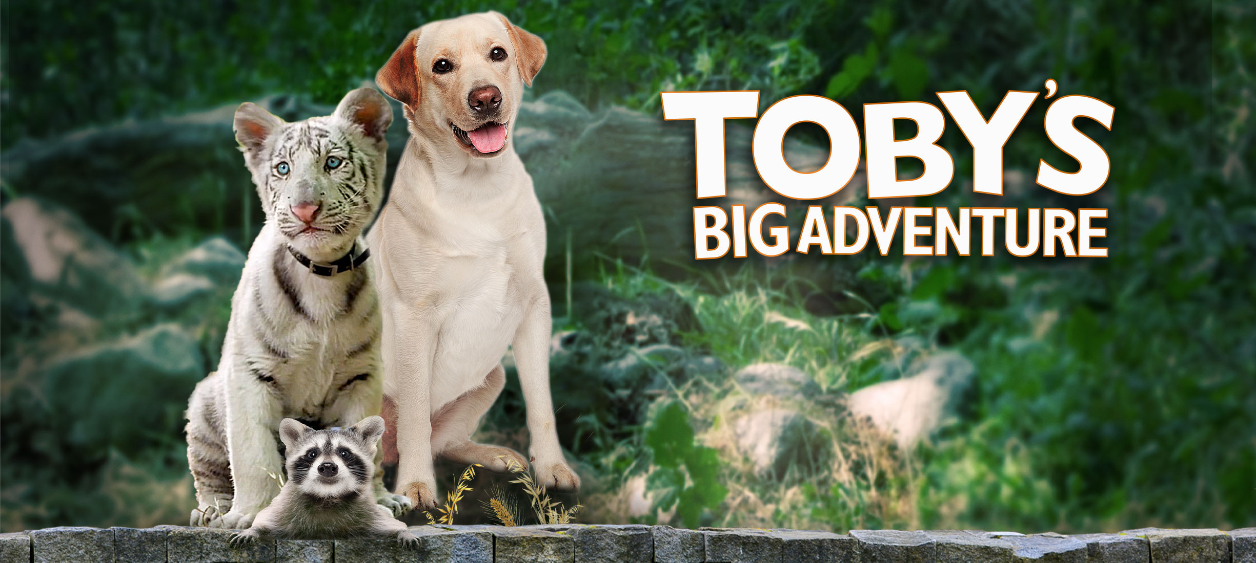 Toby's Big Adventure (2020) - IMDb